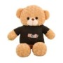 Osito de peluche cámara espía WIFI HD 1080P detección de movimiento