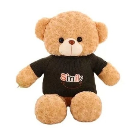 Osito de peluche cámara espía WIFI HD 1080P detección de movimiento