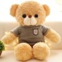 Osito de peluche cámara espía WIFI HD 1080P detección de movimiento