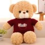 Osito de peluche cámara espía WIFI HD 1080P detección de movimiento