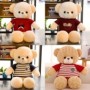 Osito de peluche cámara espía WIFI HD 1080P detección de movimiento