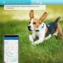 Localizador GPS 4G para mascotas con geovalla bidireccional