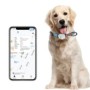 Localizador GPS 4G impermeable para humanos y mascotas