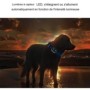 Tracker GPS 4G para mascota seguimiento en tiempo real alarma geo-cerca luces LED